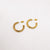 Basic Hoops Earrings Gold